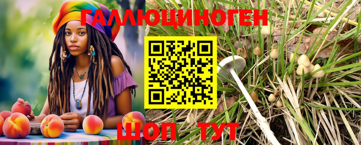 Псилоцибиновые грибы GOLDEN TEACHER  Вход с VPN  Владимир 